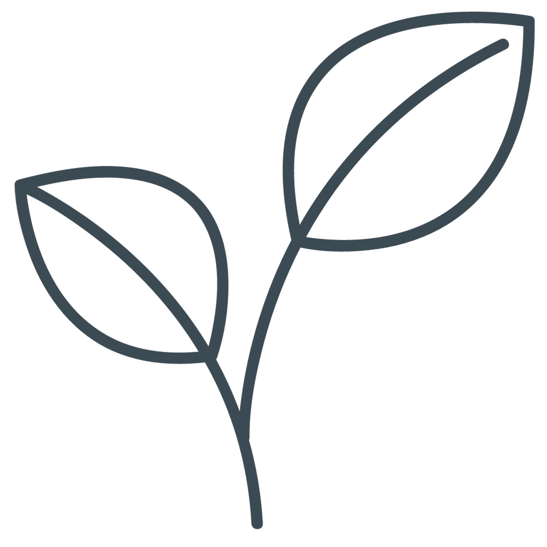Environment